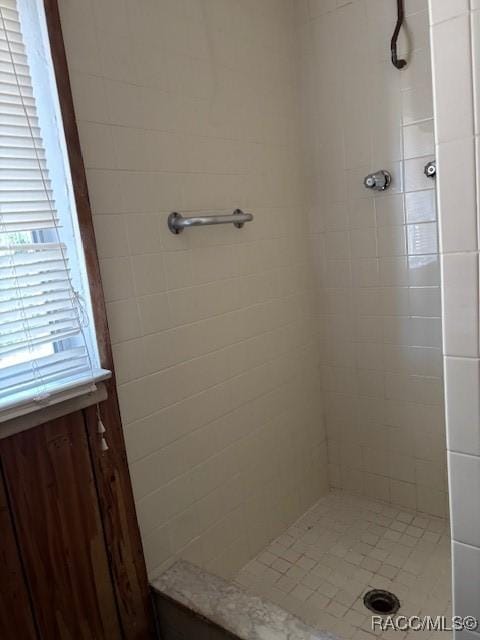 bathroom with a stall shower