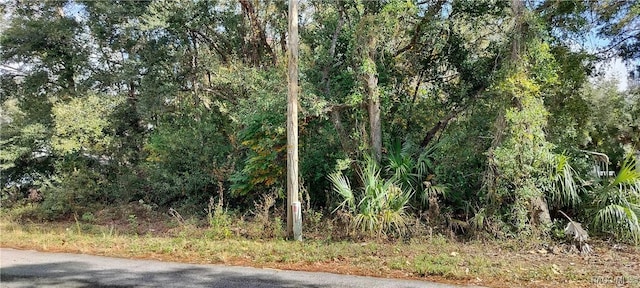 973 N Maynard Ave, Lecanto FL, 34461 land for sale