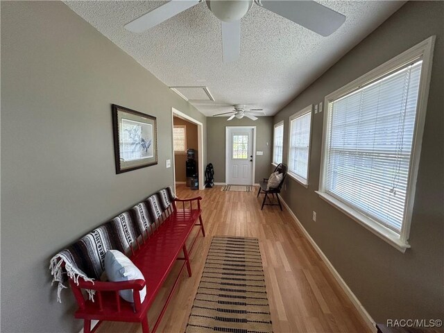 18 56th St, Yankeetown, FL 34498 - living area featuring a ceiling fan, a textured ceiling, and light wood-type flooring