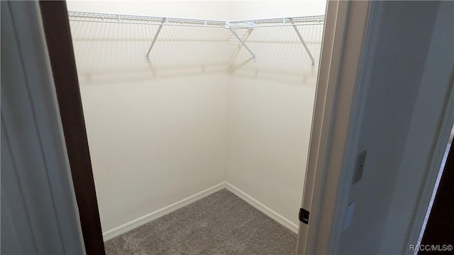 spacious closet with carpet