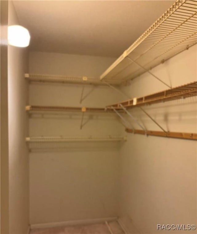 view of walk in closet