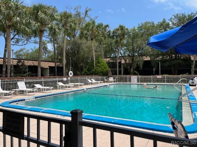 view of pool with a patio area