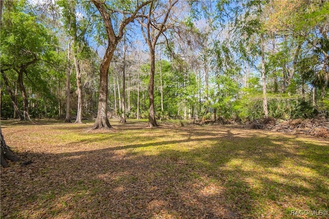 view of yard featuring a wooded view