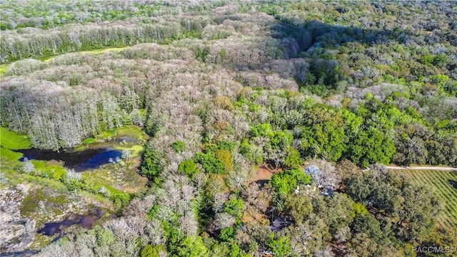 birds eye view of property featuring a forest view