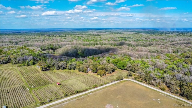 aerial view with a rural view