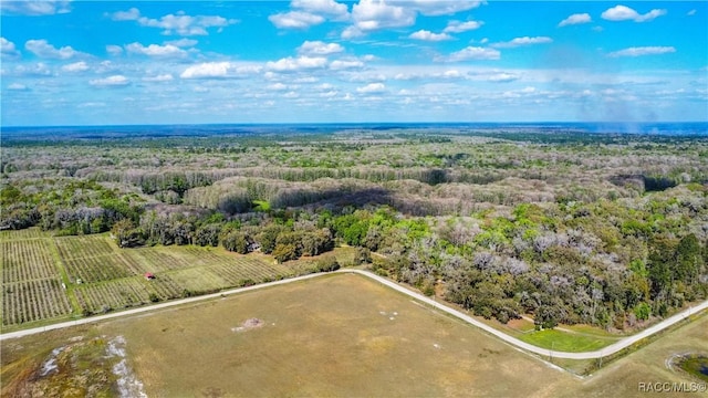 aerial view with a rural view