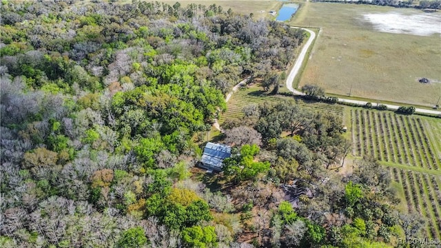 bird's eye view featuring a rural view