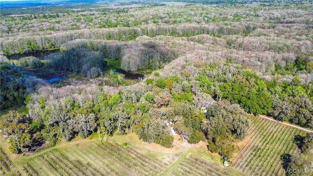 aerial view with a rural view