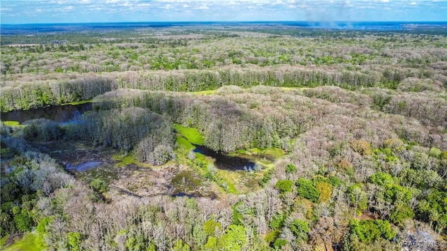 aerial view featuring a wooded view