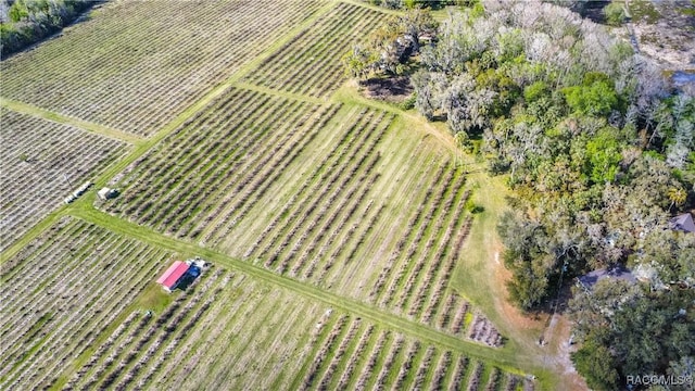 drone / aerial view with a rural view