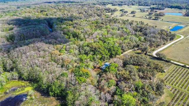 drone / aerial view featuring a rural view and a water view