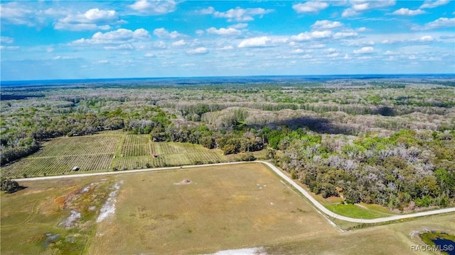 aerial view featuring a wooded view