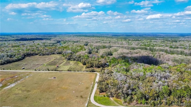 bird's eye view with a wooded view