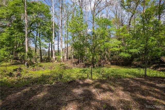 view of local wilderness