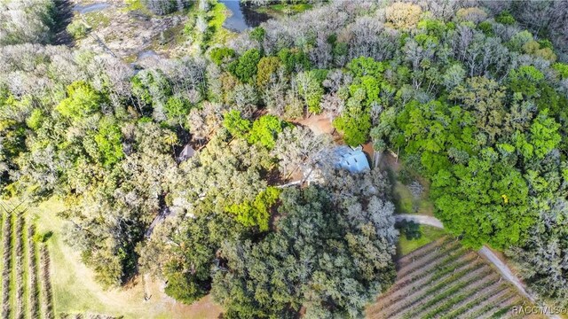 bird's eye view featuring a view of trees