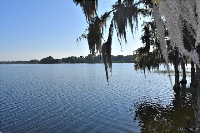 11 S Heron Creek Loop, Inverness, FL 34450 - photo 26