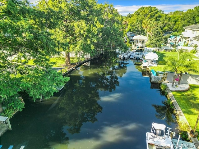 view of water feature with a dock