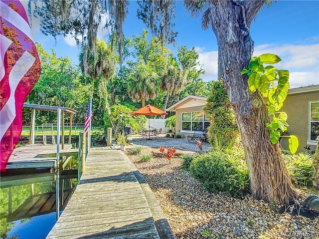 view of yard featuring a patio and a dock