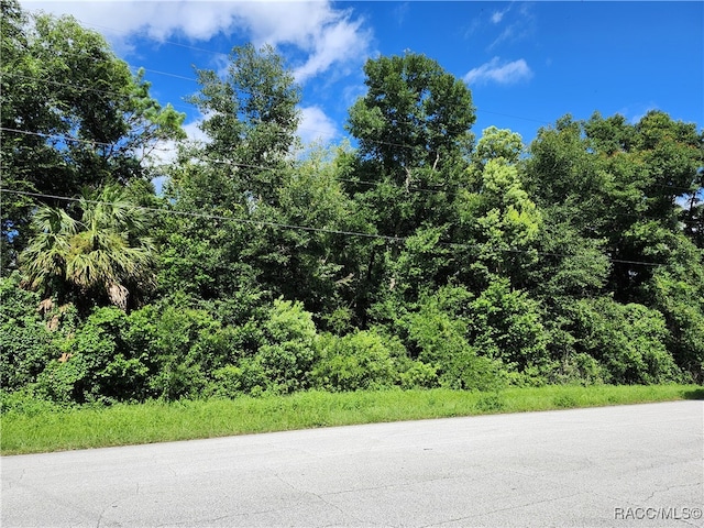 8841 N Golfview Dr, Citrus Springs FL, 34434 land for sale