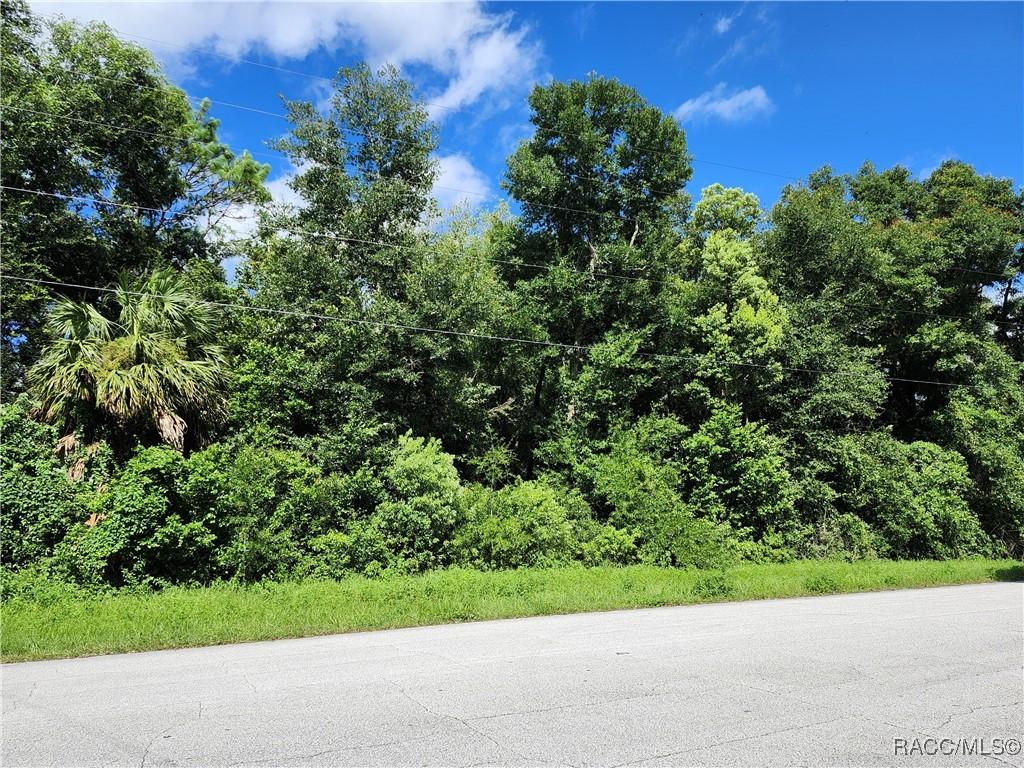 8841 N Golfview Dr, Citrus Springs, FL 34434 - photo 1