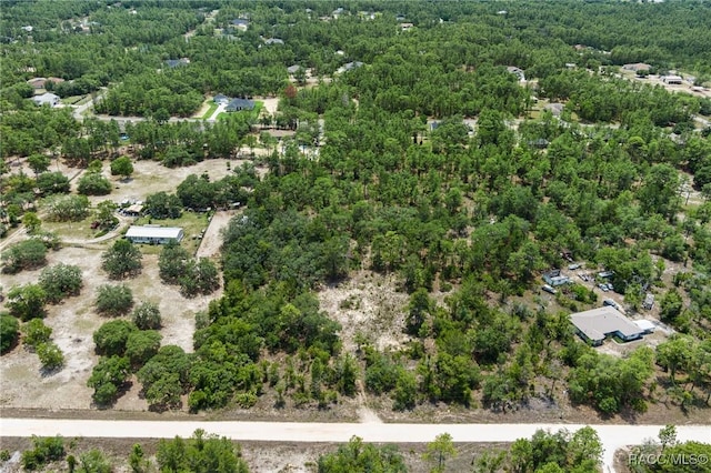 6288 W Baghdad St, Dunnellon, FL 34433 - photo 4