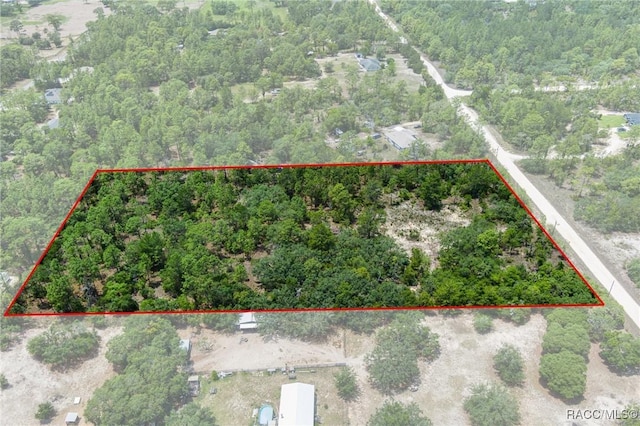 6288 W Baghdad St, Dunnellon, FL 34433 - photo 14