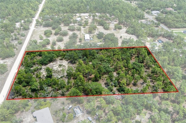 6288 W Baghdad St, Dunnellon, FL 34433 - photo 16