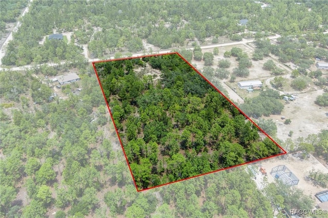 6288 W Baghdad St, Dunnellon, FL 34433 - photo 12