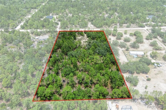 6288 W Baghdad St, Dunnellon, FL 34433 - photo 9