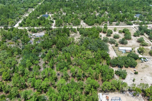 6288 W Baghdad St, Dunnellon, FL 34433 - photo 10