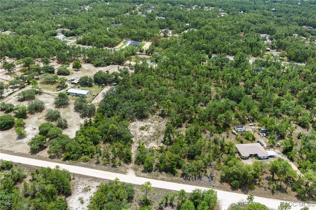 6288 W Baghdad St, Dunnellon, FL 34433 - photo 7