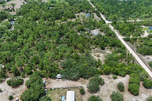 6288 W Baghdad St, Dunnellon, FL 34433 - photo 15