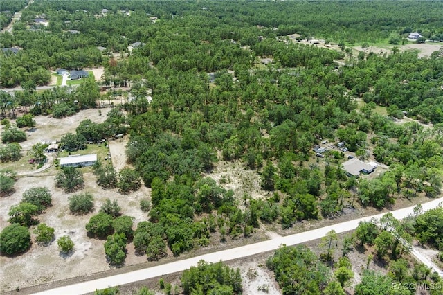 6288 W Baghdad St, Dunnellon, FL 34433 - photo 8