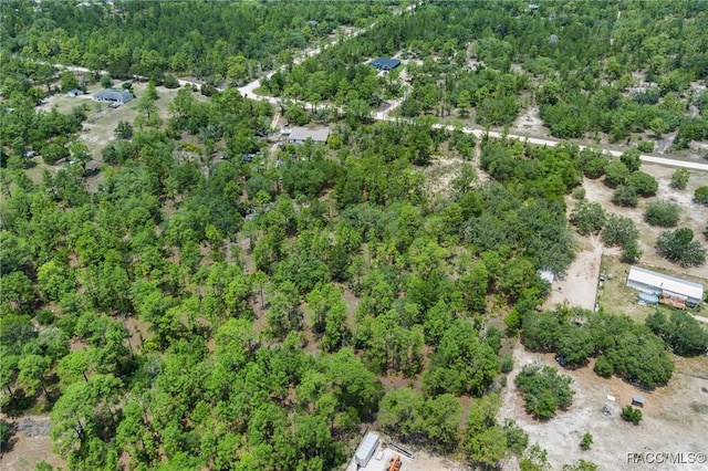 6288 W Baghdad St, Dunnellon, FL 34433 - photo 11
