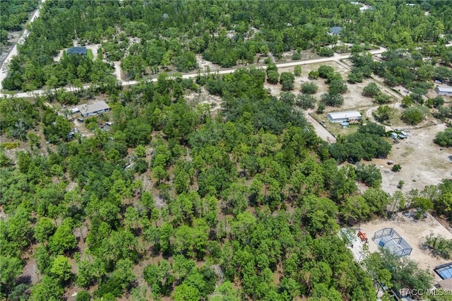 6288 W Baghdad St, Dunnellon, FL 34433 - photo 13