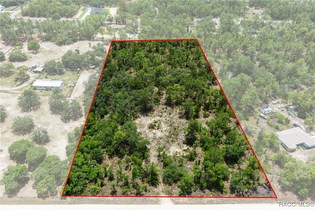 6288 W Baghdad St, Dunnellon, FL 34433 - photo 3