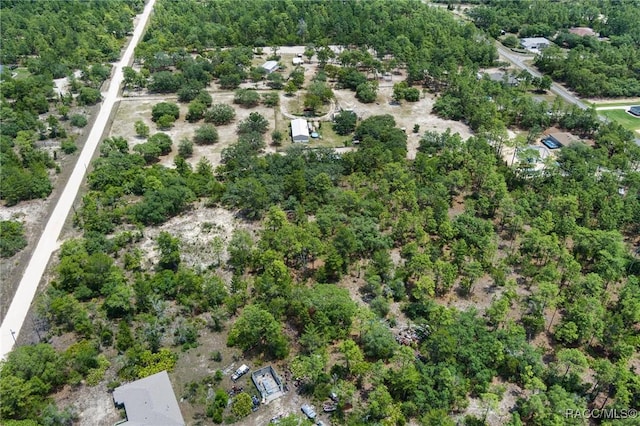 6288 W Baghdad St, Dunnellon, FL 34433 - photo 17