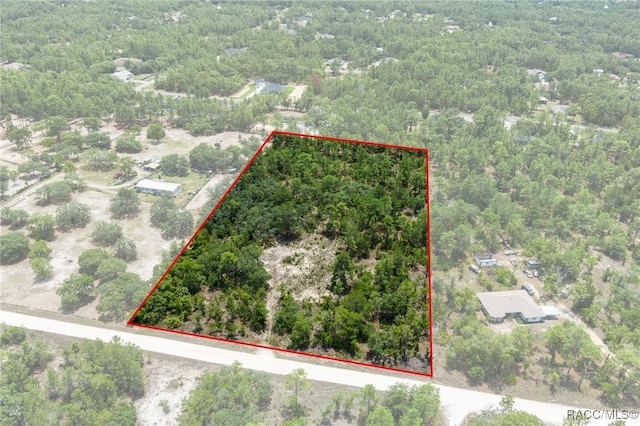 6288 W Baghdad St, Dunnellon, FL 34433 - photo 1