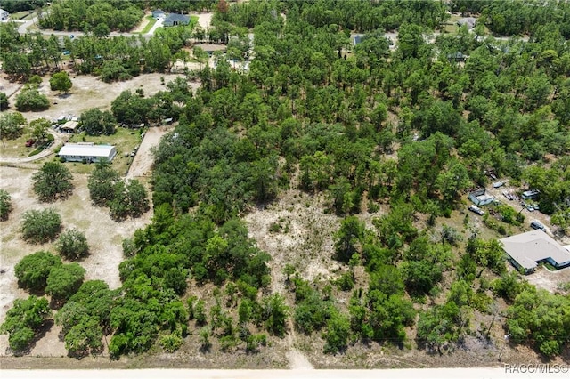 6288 W Baghdad St, Dunnellon, FL 34433 - photo 2