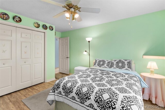 bedroom featuring ceiling fan, light wood-type flooring, and a closet