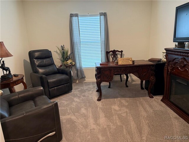 office space featuring baseboards and carpet flooring