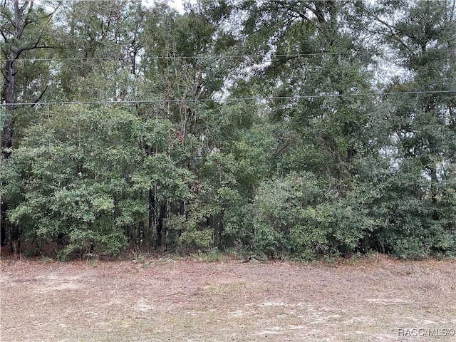 10068 N Langdon Rd, Citrus Springs FL, 34434 land for sale