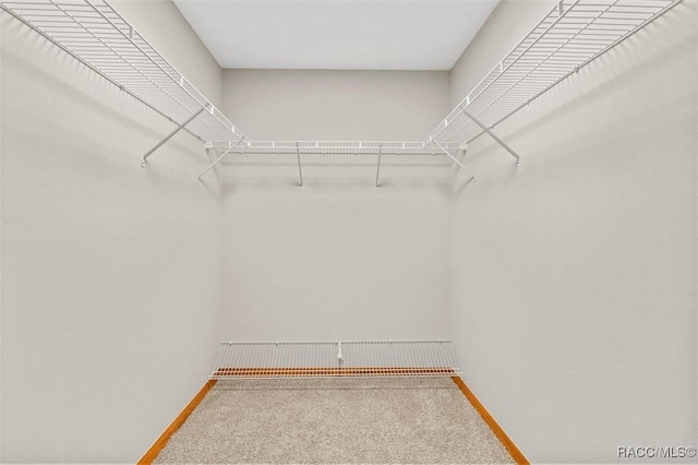 spacious closet with carpet