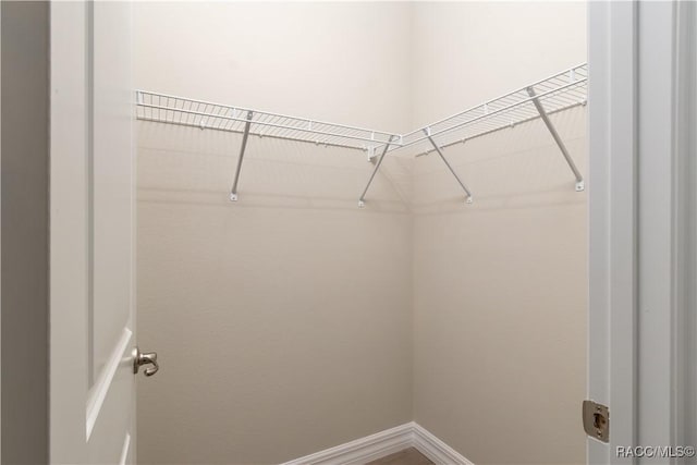 view of spacious closet