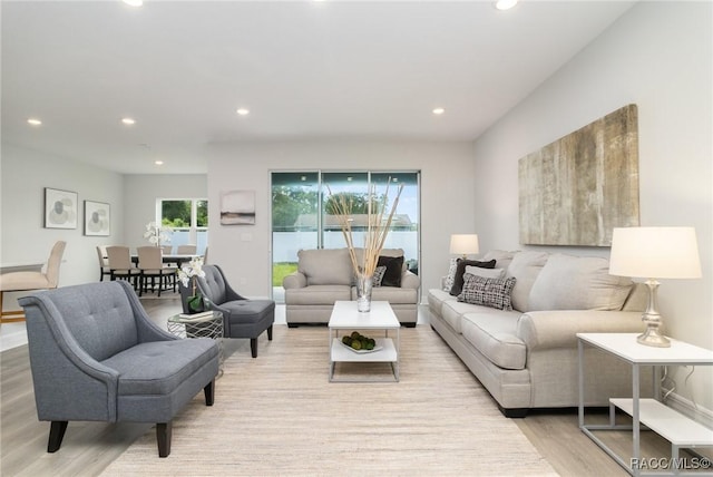 living room featuring light wood-type flooring