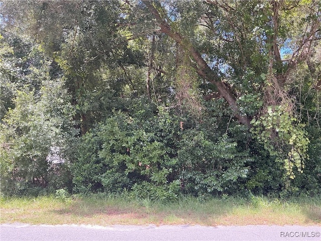 3953 E Sanders St, Inverness FL, 34453 land for sale