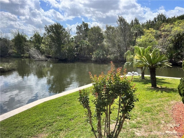 3809 N Seminole Pt, Crystal River, FL 34428 - property view of water with a wooded view