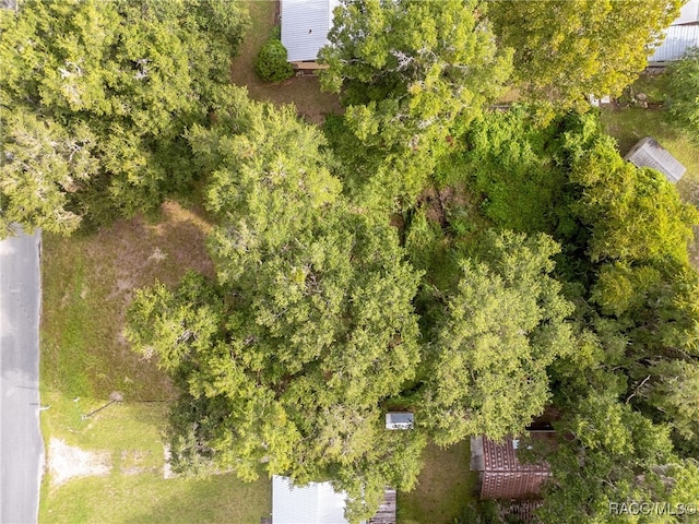 Listing photo 3 for 0 SE 115th Ave, Inglis FL 34449