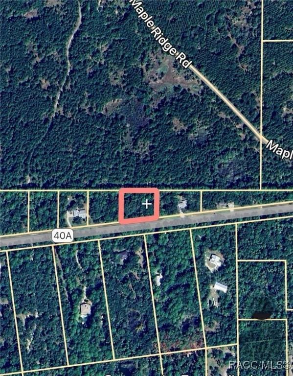 LOT4 SE 193rd Pl, Yankeetown, FL 34498