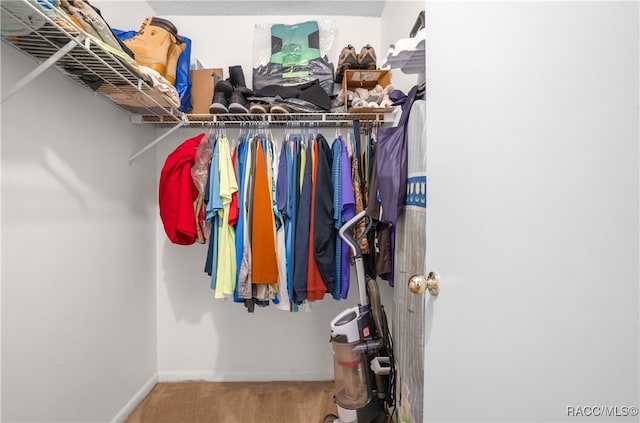 spacious closet with carpet flooring